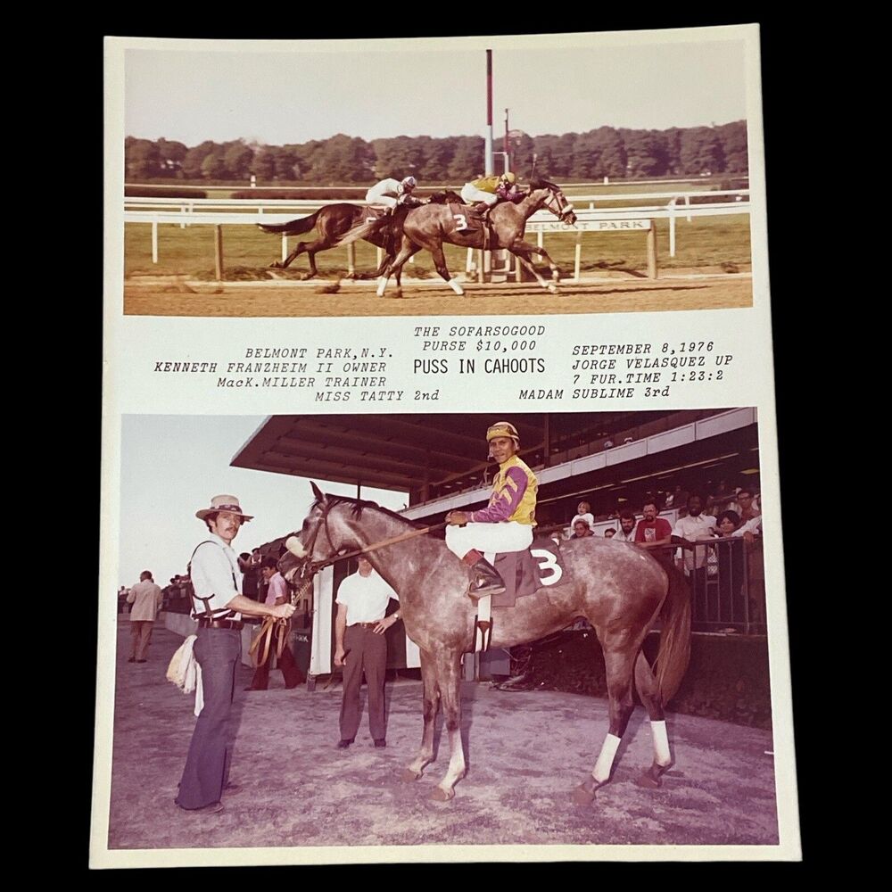Vintage 1976 Belmont Park Horse Racing Photo Puss In Cahoots Jorge Velasquez